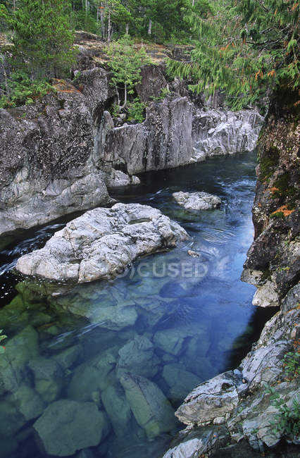 Kennedy river enroute to pacific rand nationalpark, vancouver island, britisch columbia, canada. — Stockfoto