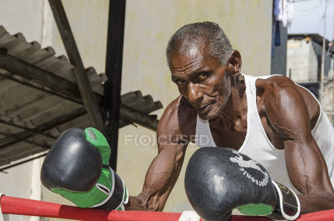 Boxeador masculino senior posando en Rafael Trejo Boxing Gym, Habana Vieja, Habana, Cuba - foto de stock