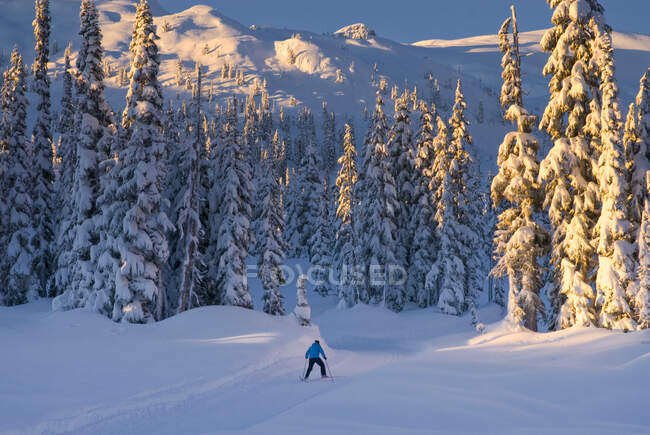 Lever du soleil : Le pavillon de ski de fond Callaghan est situé à 10 minutes au sud de Whistler, en Colombie-Britannique (Canada), dans la vallée Callaghan et à côté du parc olympique de Whistler.. — Photo de stock