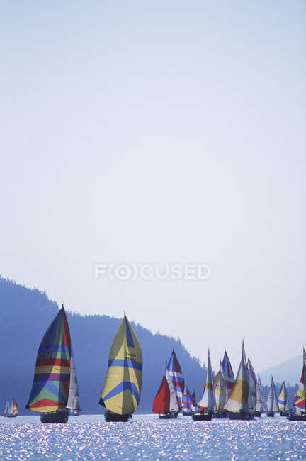 Spinnakers recreativos navegando perto de Pender Island, Vancouver Island, British Columbia, Canadá . — Fotografia de Stock