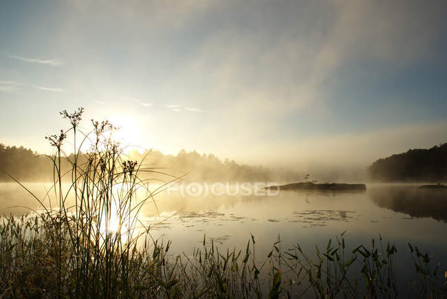 Morning view on scenic Poker Lake wilderness area, Halliburton, Ontario, Canada — Stock Photo