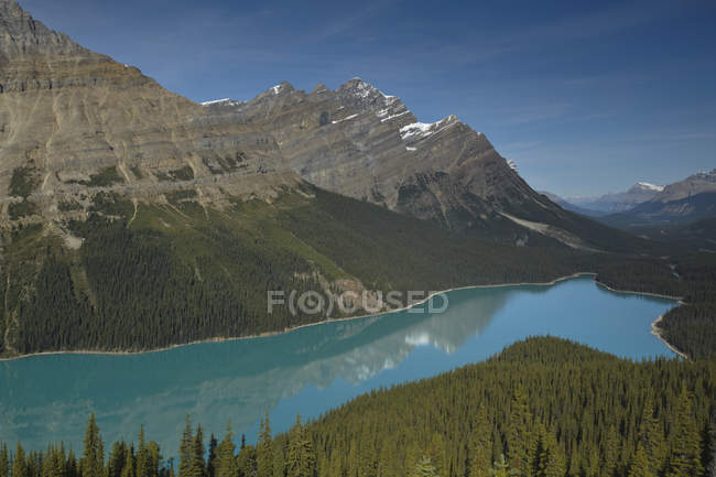 Lac Peyto glaciaire dans les montagnes du parc national Banff au crépuscule, Alberta, Canada — Photo de stock