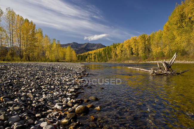 Elk River y Lizard Range en estado de ánimo otoñal, Fernie, Columbia Británica, Canadá . - foto de stock