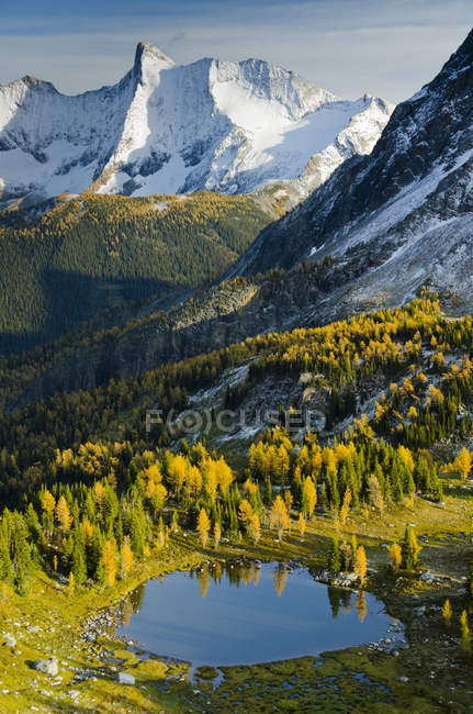 Jumbo Pass y alerces alpinos en follaje otoñal, Montañas Purcell, Columbia Británica, Canadá - foto de stock