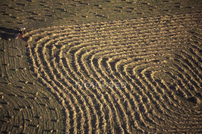 Aerial view of natural pattern of farming industry on Hornby Island, British Columbia, Canada. — Stock Photo