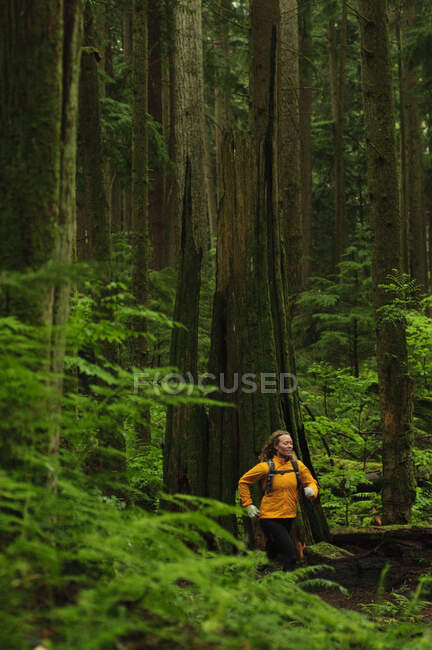 Sentiero che corre sul monte Seymour. North Vancouver, Columbia Britannica. Canada — Foto stock