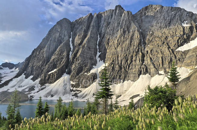 Paysage des parois rocheuses du lac Floe, parc national Kootenay, Colombie-Britannique, Canada — Photo de stock