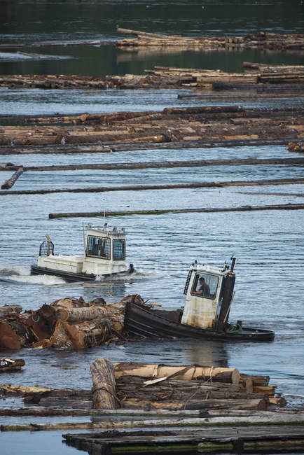 Logging boom barche al villaggio costiero di Beaver Cove, fiume Kokish, Columbia Britannica, Canada — Foto stock