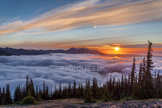 Manta nubosa al atardecer en las montañas del Parque Nacional Olímpico al atardecer, Washington, EE.UU. - foto de stock