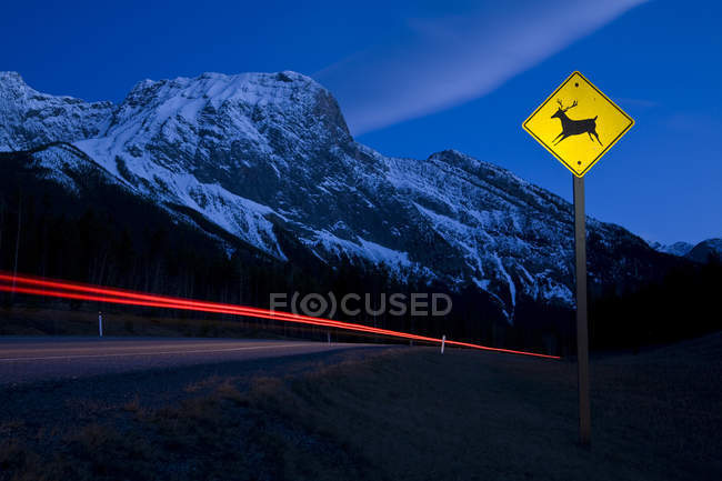 Veado Sinal de cruzamento e trilhas de luz na estrada, Kananaskis, Alberta, Canadá — Fotografia de Stock