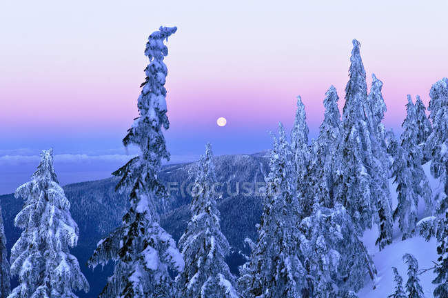 Moonset at sunrise of Mount Seymour Provincial Park, British Columbia, Canada — Stock Photo