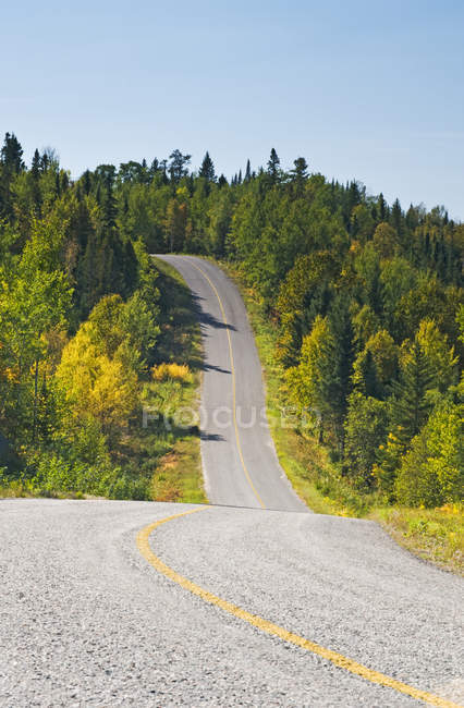 Estrada pavimentada que atravessa a floresta, Lake of Woods, Ontário, Canadá — Fotografia de Stock