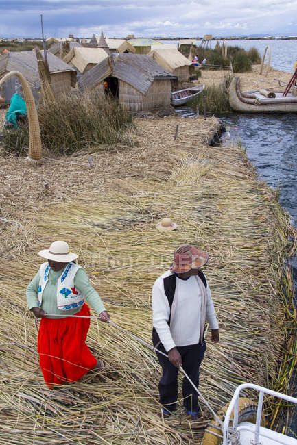 Residentes locales buscando cañas en la isla de caña flotante de Uros, Lago Titicaca, Perú - foto de stock