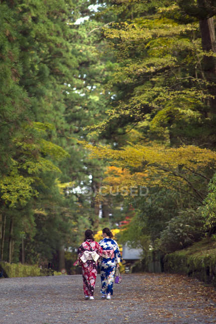 Two Japanese women in kimono walking down alley in Nikko, Japan — Stock Photo
