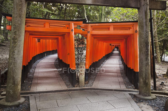Puertas Torii del Santuario Inari de Fushimi en Kyoto, Japón - foto de stock