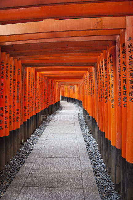 Ворота торії Fushimi-Inari храм в Кіото, Японія — стокове фото