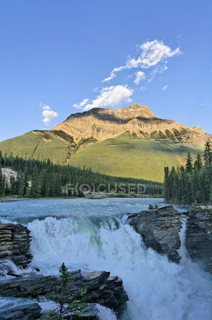 Вода из живописного водопада Атабаска, Национальный парк Джаспер, Альберта, Канада — стоковое фото