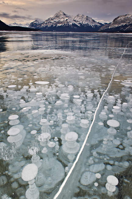 Lac d’Abraham et le pic de Kista en hiver, Kootenay Plains, Bighorn Wildland, Alberta, Canada — Photo de stock