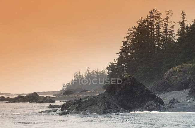 Shoreline and silhouettes of trees at sunset, Clayoquot Sound, Vancouver Island, British Columbia, Canada. — Stock Photo