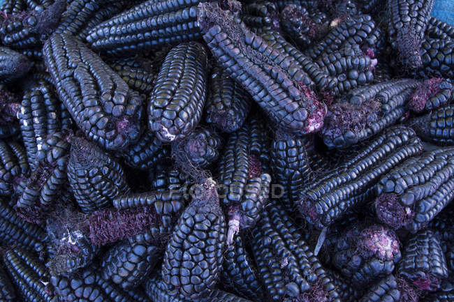 Maïs coloré sur l'épi empilé au marché de rue local au Pérou . — Photo de stock