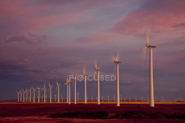 Moinhos de vento geradores de energia que funcionam ao amanhecer perto de Fort Macleod, Alberta, Canadá . — Fotografia de Stock