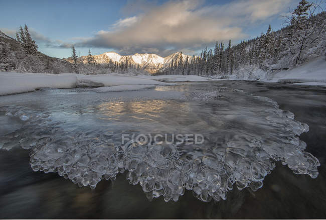 Formaciones de hielo en hermosos patrones en el río Wheaton, Whitehorse, Yukón, Canadá . - foto de stock
