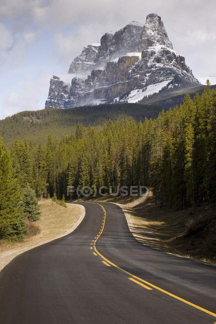 Road in forest to Castle Mountain, Banff National Park, Alberta, Canadá — Fotografia de Stock