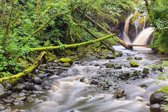 Fließendes Wasser des Thornton Creek, Vancouver Island, Britische Columbia, Kanada — Stockfoto