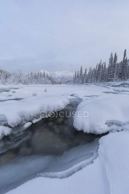 Wheaton River friert im Winter in der Nähe von Whitehorse, Yukon, Kanada zu. — Stockfoto