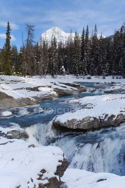 Paisaje invernal de Puente Natural sobre Kicking Horse River, Parque Nacional Yoho, Columbia Británica, Canadá - foto de stock