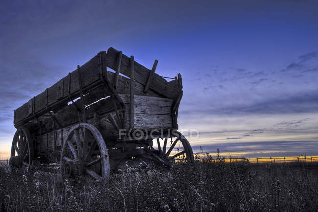 Старый деревянный фургон на поле на закате в Альберте, Канада — стоковое фото