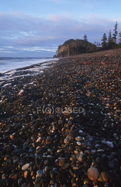Rocky Haida Gwaii orilla con Tow Hill en Graham Island al atardecer, Columbia Británica, Canadá . - foto de stock
