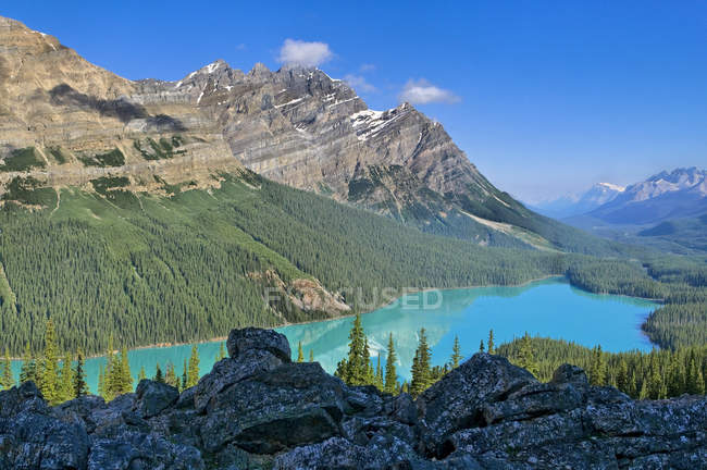 Vista aérea del bosque de coníferas y las montañas por el lago Peyto, Parque Nacional Banff, Alberta, Canadá - foto de stock