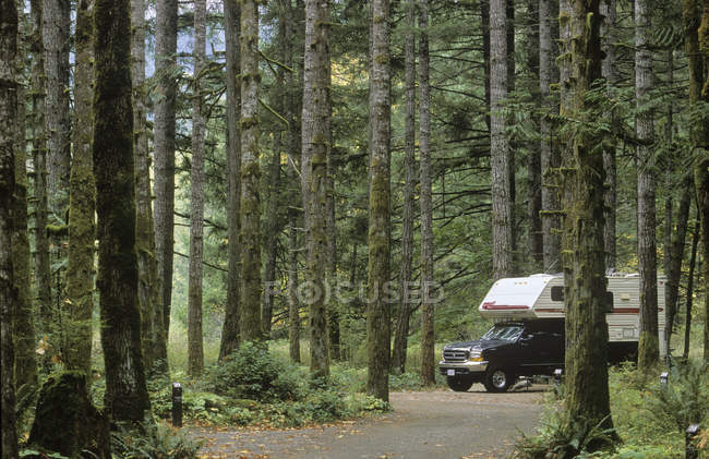 Cowichan River resort with truck and camper, Vancouver Island, British Columbia, Canada. — Stock Photo