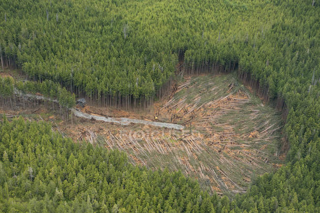 Luftaufnahme der Kahlschlag-Abholzung an der Küste, Britisch Columbia, Kanada — Stockfoto