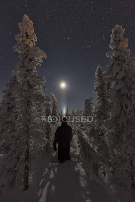 Человек, стоящий в снегу, окруженный заснеженными деревьями, глядя на луну, Старую Ворону, Юкон. — стоковое фото