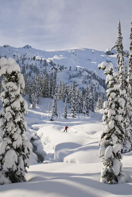 Skier the Solitude Lake trail in the Callaghan. The Callaghan Country ski lodge is located 10 minutes south of Whistler, BC Canada, up the Callaghan Valley and next to the Whistler Olympic Park. — Stock Photo