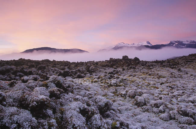 Nisgaa Memorial Lava Bed Provincial Park com rochas incrustadas de líquen ao amanhecer, British Columbia, Canadá . — Fotografia de Stock