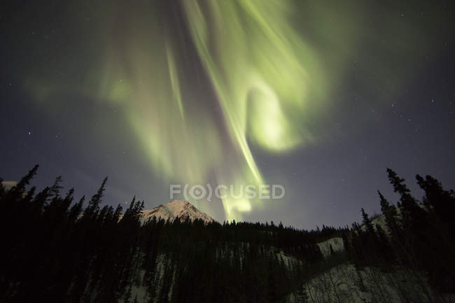 Vista ad angolo basso dell'aurora boreale nel cielo notturno fuori Whitehorse, Yukon, Canada
. — Foto stock