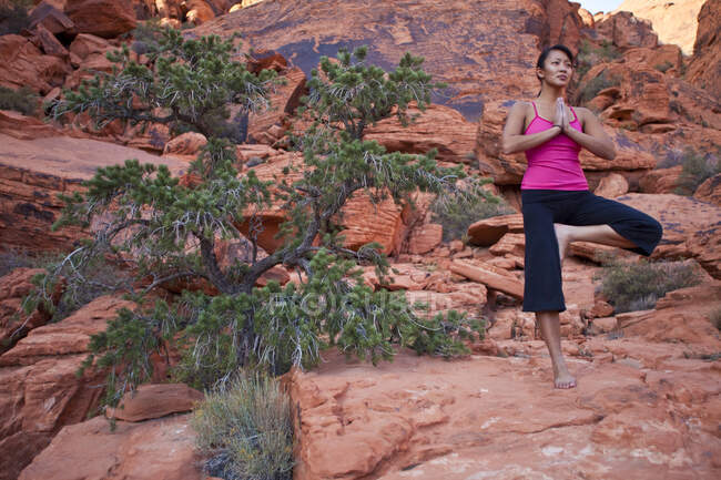 Femme apte à pratiquer le yoga sur les roches rouges du désert de Mojave, Las Vegas, Nevada, États-Unis d'Amérique — Photo de stock