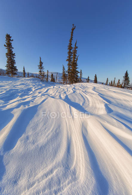 Vento esculpido neve deriva ao pôr do sol em Crow Mountain, Old Crow, norte de Yukon . — Fotografia de Stock