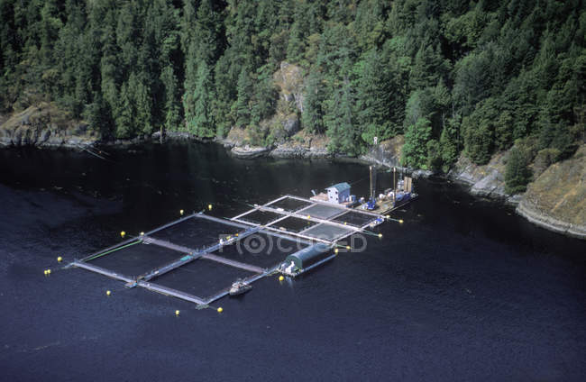 Archipiélago de Broughton y piscifactoría de salmón del Atlántico, Isla Vancouver, Columbia Británica, Canadá . - foto de stock