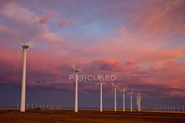 Mulini a vento che funzionano all'alba nei pressi di Fort Macleod, Alberta, Canada . — Foto stock