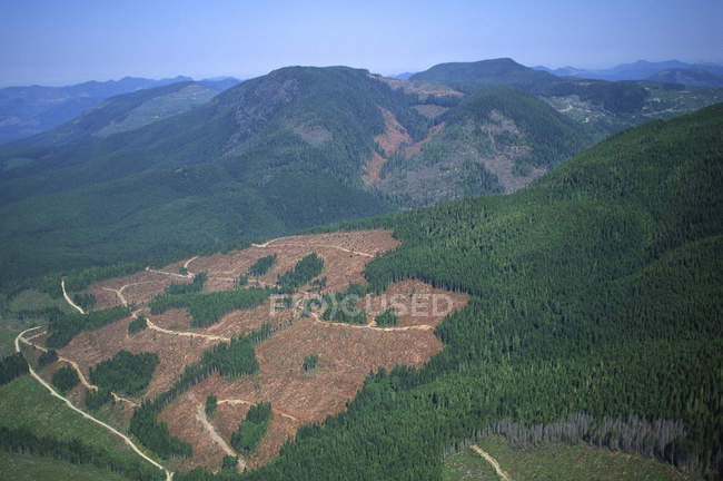 Vista aérea do corte de madeira, ilha de Vancouver, Colúmbia Britânica, Canadá . — Fotografia de Stock