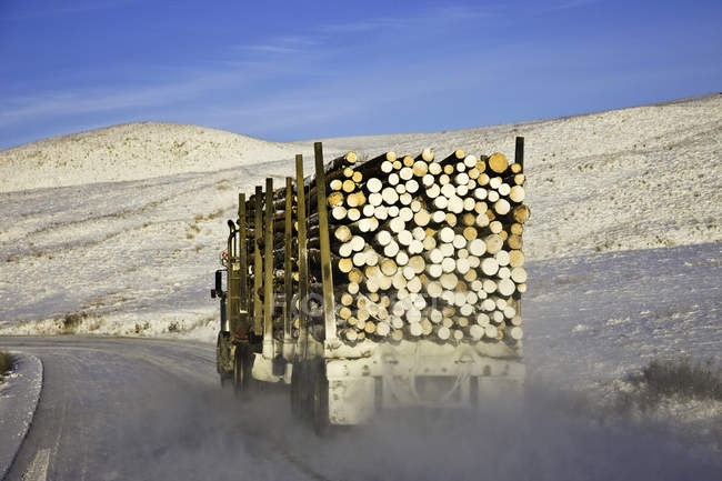 Logging truck on dusty road at Farwell Canyon in British Columbia, Canada. — Stock Photo