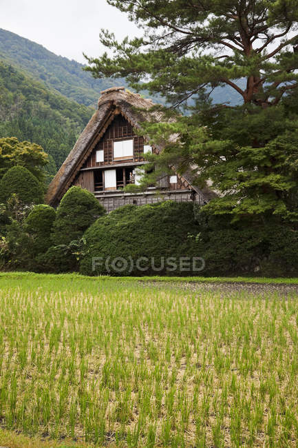 Historisches dorf shirakawa mit minka-bauernhaus in nordjapan. — Stockfoto