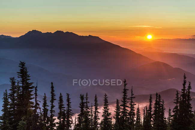 Silhuetas em montanhas e árvores ao pôr do sol no Parque Nacional Olímpico de Deer Park, Washington, EUA — Fotografia de Stock