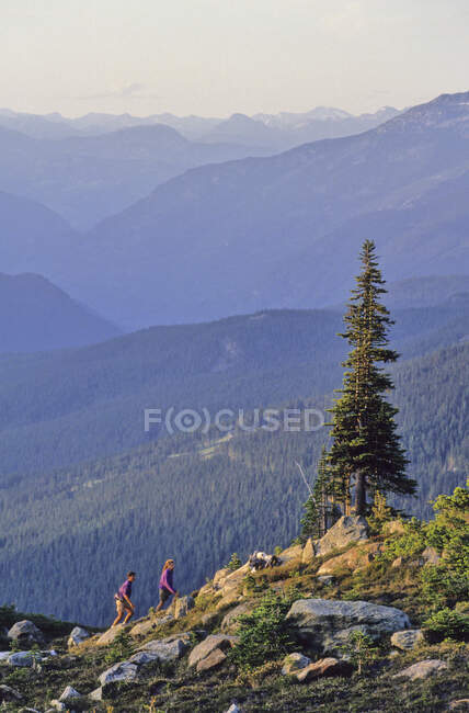 A couple hikes Whistler Mountain, summer evening. — Stock Photo