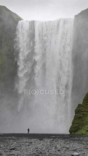 Turismo observando la caída del agua de la cascada de Skogafoss en el paisaje de Islandia - foto de stock