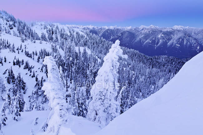 Morgendämmerung in der schneebedeckten Landschaft des Mount Seymour Provincial Park, Britisch Columbia, Kanada — Stockfoto